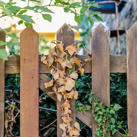 Casa Do Rebelhe Casa de Férias Bragança
