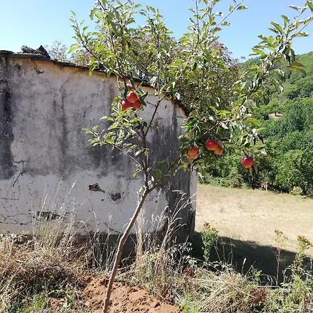 Дом отдыха Casa Do Rebelhe