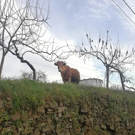 Casa de Férias Casa Do Rebelhe Bragança