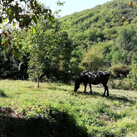 Casa Do Rebelhe Дом отдыха