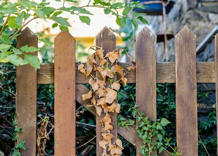 Casa Do Rebelhe Casa vacanze Bragança