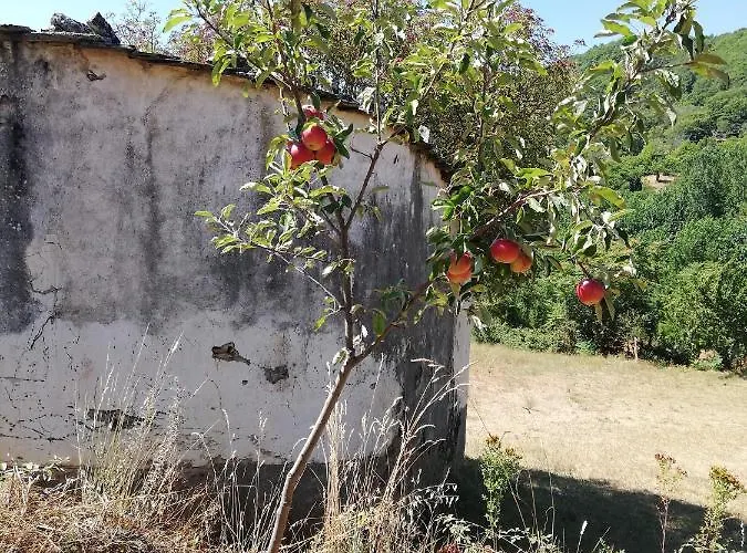 Casa vacanze Casa Do Rebelhe