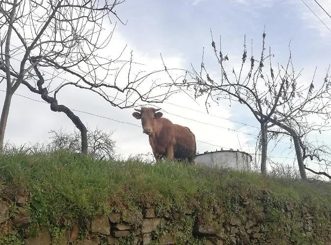 Nyaraló Casa Do Rebelhe Bragança