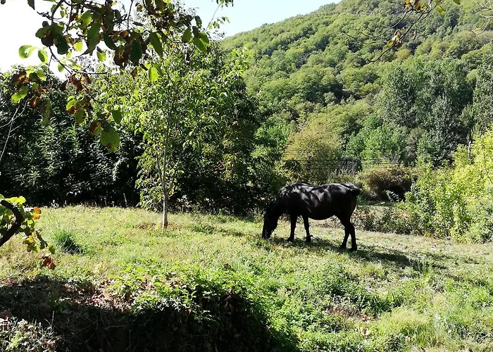Casa Do Rebelhe 펜션